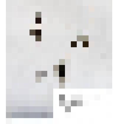 Гербарий
Василистник