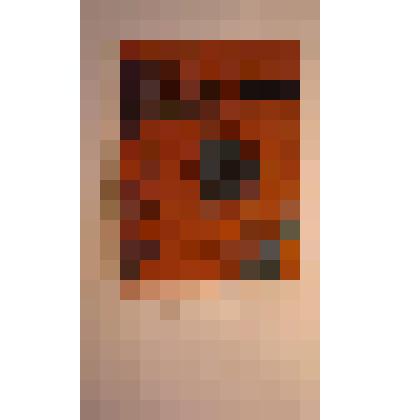 Обложка с портретом Л.Н. Толстого на коричневом фоне, с орнаментом