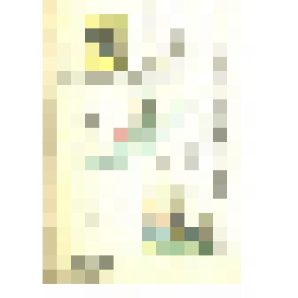 Чукотская земля и Камчатская область