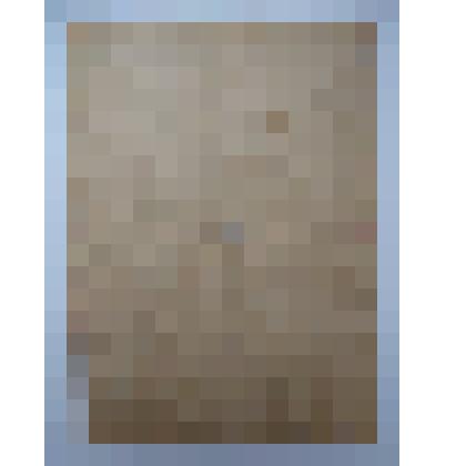 Справка об объявлении благодарности за участие в боях за город Демблин Егоренкова Тимофея Александровича