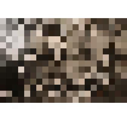 Фотография. Мурзабаев Р.А.- на первенство Башсовпрофа, на приз генерала Шаймуратова по национальной борьбе куреш, город Туймазы 25-26 ноября 1989 года