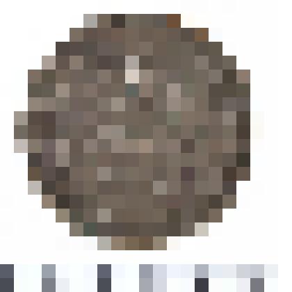 Монета. 20 копеек