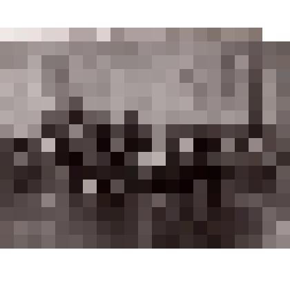 Фото. Ученицы старшего отделения Верхнеуральской церковно-приходской школы