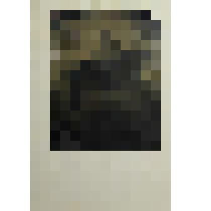 Фотография семьи Ильиных: отца, матери, дочерей - Анны, Марии, Антонины