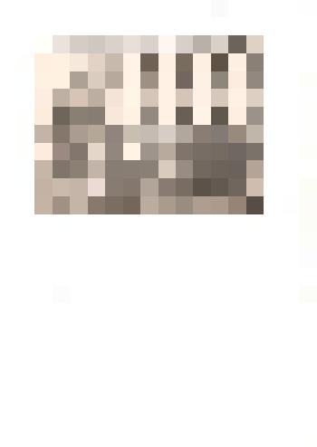 Фотография ч/б. В День Победы на площади с. Тюменцева. 1976 г