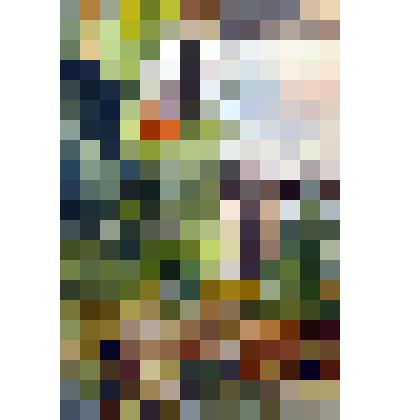 Картина. Уголок Павловска