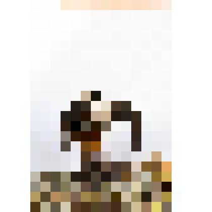 Сокол - чеглок