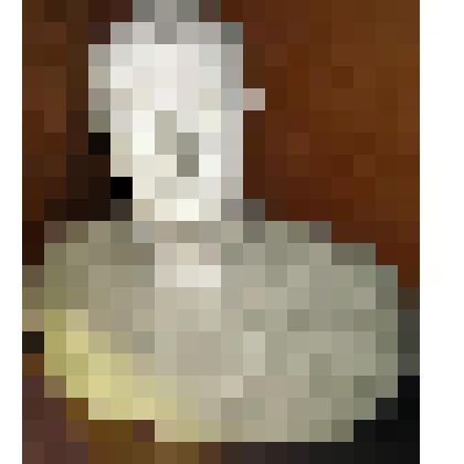 Портрет Героя Социалистического Труда профессора Цинцадзе