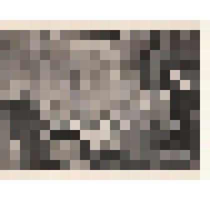 Фотография. Л.А.Кассиль, Михалков С.В., Князева Л.Н., артисты Московского ТЮЗа