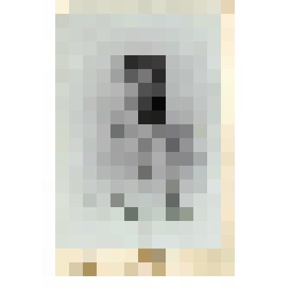 Фотография. Чаплин Н.Н. Якутский губернатор.Витебск,1904 г