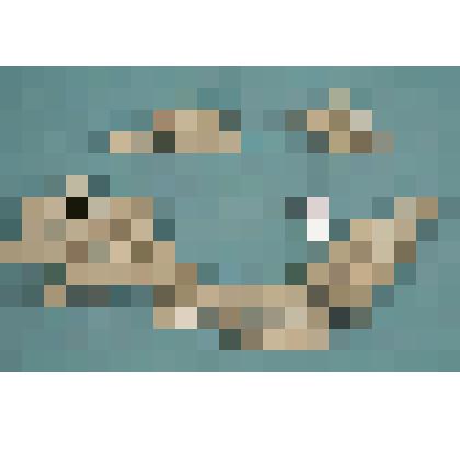 Рама от иконостаса