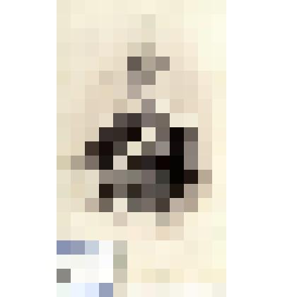 Фотография черно-белая. Франк Николай Александрович