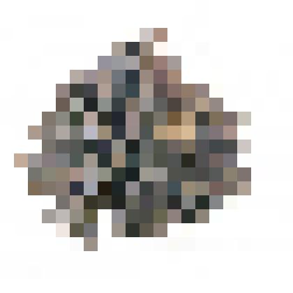 Шишка ливанского кедра