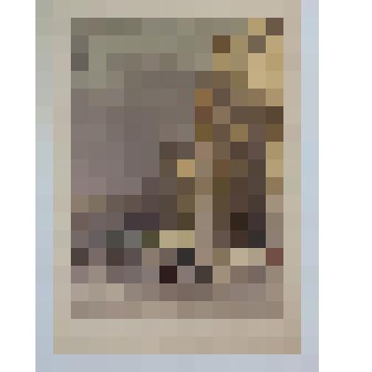 Новая Москва