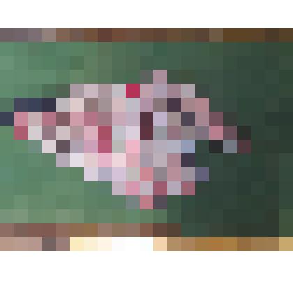 деталь одежды