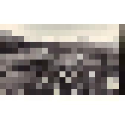 Фотография. Вид окрестностей пионерского лагеря «Синегорск»