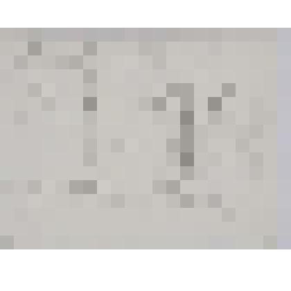 Рисунок. Сиена