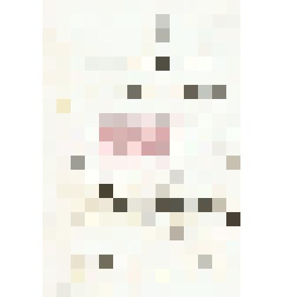 Письмо В. С. Корженевского Николаю Михайловичу Мартьянову с уведомлением об отправке ящика с горными породами, собранными в окрестностях Алексеевского рудника