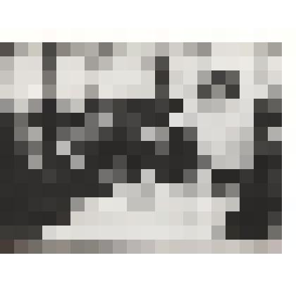 Фотография. Встреча ветеранов Сосновского района 9 Мая 1980г