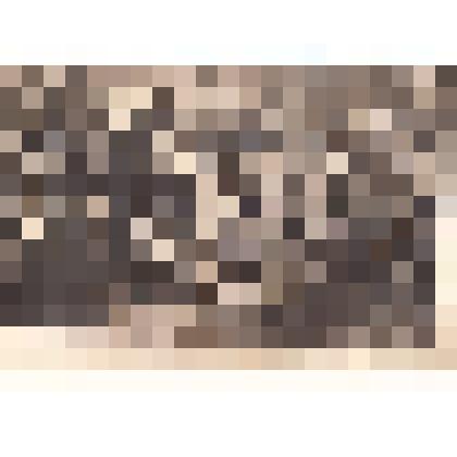 Репродукция с картин