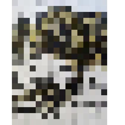 В Тарусской стороне. 2 вариант