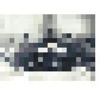 Фотокопия. Ветаны ВОВ Сосновского р-на у памятника погибшим воинам в п. Сосновское