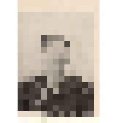 Фотография: Казанцева Пелагея Петровна, телятница Центрального отделения совхоза "Путь Ильича" Крутихинского района Алтайского края