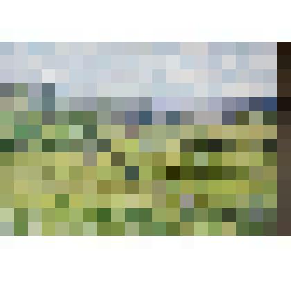 Живопись. Картина "Великая природа, или Моя любимая природа"