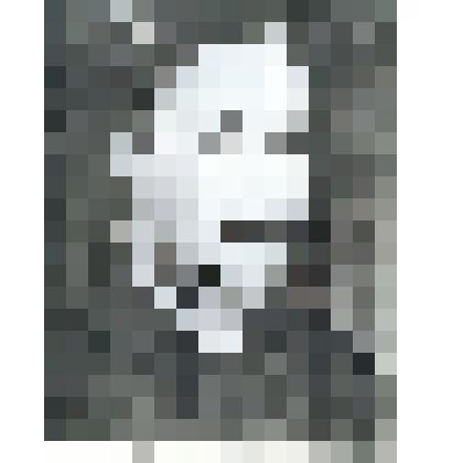 Фотография. «Жевлакова В.Ф.-заслуженный врач Якутской АССР, РСФСР»