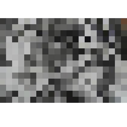 Фотография. "Сестры"