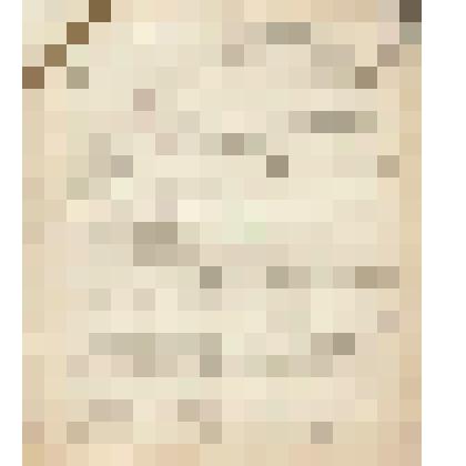 Телеграмма № 172 в г. Чердынь В.Н.Алину от Зайнетдинова из г. Набережные Челны, 21.02.1910 г