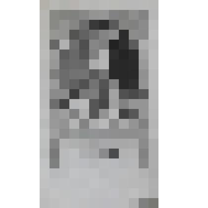 Портрет Венцеслава , короля Богемии