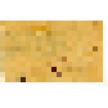 Документ. Удостоверение на имя Елисеева П.И., выданное Натальинским волостным исполнительным комитетом