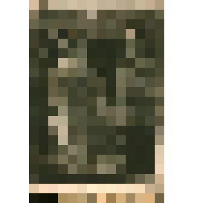 Иллюстрация. "Встреча с Нелли Лещинской в вагоне"