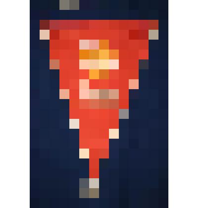 Знамена, флаги, вымпела. Вымпел треугольной формы на металлическом стержне с белой каймой и кисточкой внизу