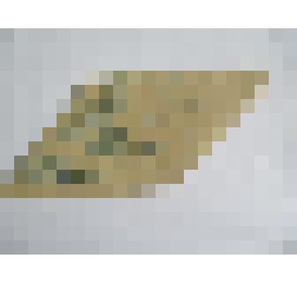 Письмо с фронта Конаревой Ольге Николаевне