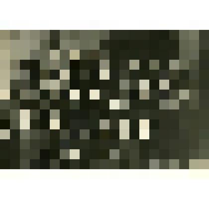 Фотография. Ученики 1-го класса Нагатинской начальной школы