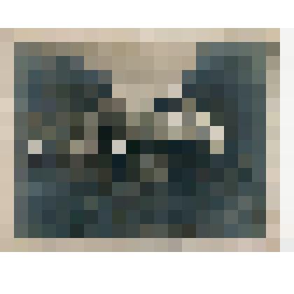 Фотография групповая. Павел Семенович Жуков, Анна Ефимовна Жукова, Вера Алексеевна Горская