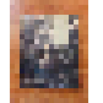 Фотография. Природа окрестностей г.Камня-на-Оби