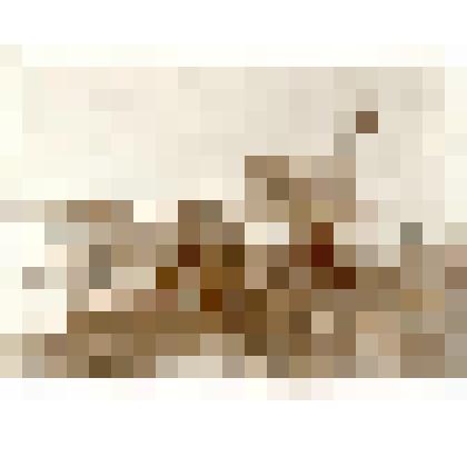 Фотография. Амбар для склада и палатка для жилья