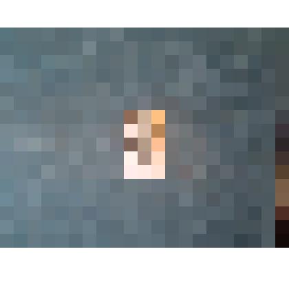 Марка "С.С. Бирюзов"