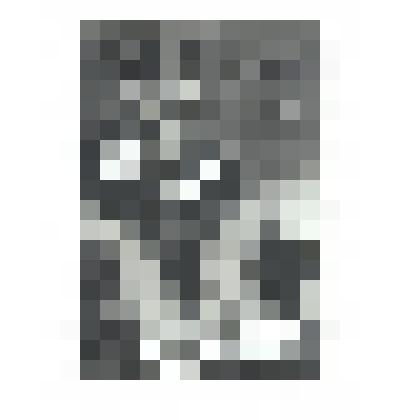 «Молодой Бонза». 1912