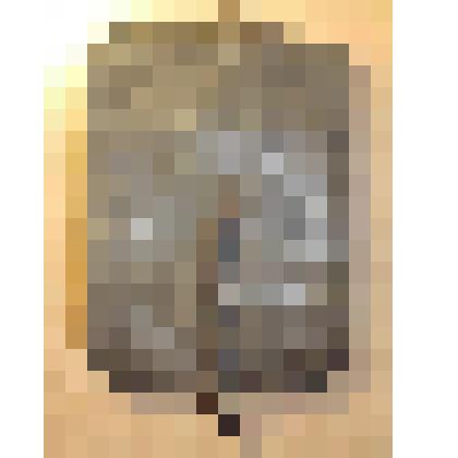 Сумка полевая Капустина П.И