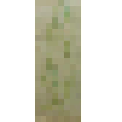 Рисунок. Грусть