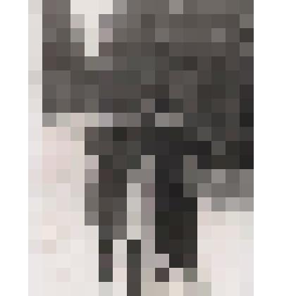 Фото: «Студенты Литературного института имени М. Горького на лыжне»