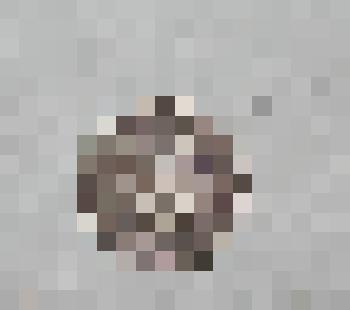 Монета. 10 копеек