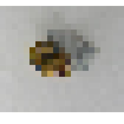 Знак нагрудный "ФСБ" Шуева Владимира Алексеевича