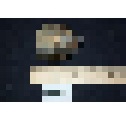 Позвонок динозавра