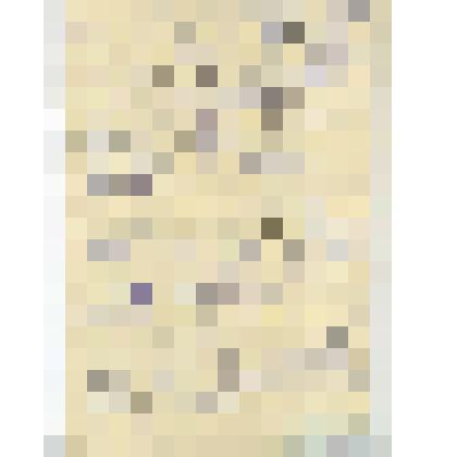 Интервью В.М. Шарлота с первым секретарём ГК КПСС Романовым В.С