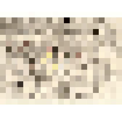 «Встреча  Нового года ссыльными»